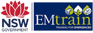 EMtrain